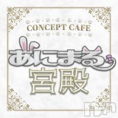 新潟駅前スナック・ガールズバー(コンセプトカフェアニマルキュウデン)のお店速報「営業中❕」