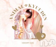 新潟駅前スナック・ガールズバー(コンセプトカフェアニマルキュウデン)のお店速報「3連休スタート❣️」