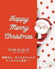 新潟駅前スナック・ガールズバー(コンセプトカフェアニマルキュウデン)のお店速報「クリスマスイベント🎄🎁」