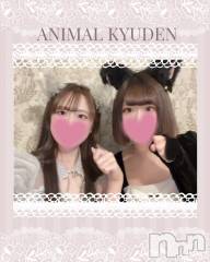 ����������ʥå��������륺�С�(���󥻥ץȥ��ե����˥ޥ륭�奦�ǥ�)�Τ�Ź®���💛������20�����OPEN💛��