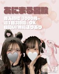 ꒰ঌあにまるちゃん募集中໒꒱