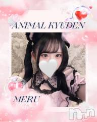 新潟駅前スナック・ガールズバー(コンセプトカフェアニマルキュウデン)のお店速報「20時OPEN」