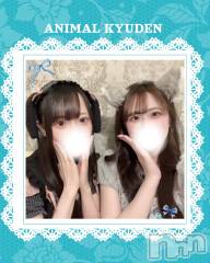 ����������ʥå��������륺�С�(���󥻥ץȥ��ե����˥ޥ륭�奦�ǥ�)�Τ�Ź®���20��OPEN��