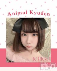 ����������ʥå��������륺�С�(���󥻥ץȥ��ե����˥ޥ륭�奦�ǥ�)�Τ�Ź®���20��OPEN��