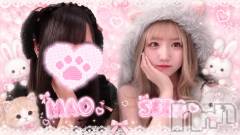 新潟駅前スナック・ガールズバー(コンセプトカフェアニマルキュウデン)のお店速報「🐈20時OPEN🐈」