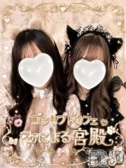 新潟駅前スナック・ガールズバー(コンセプトカフェアニマルキュウデン)のお店速報「🎉金曜日20時OPEN🎉 華金はあにまる宮殿で決まり🐾」