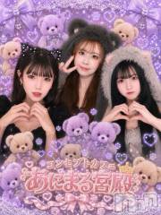 ����������ʥå��������륺�С�(���󥻥ץȥ��ե����˥ޥ륭�奦�ǥ�)�Τ�Ź®���🎆������20��OPEN🎆 ����Ϻǹ�ν�����💕��