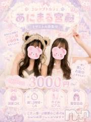 あにまるちゃん募集🌟