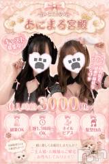 🐶🐾あにまるちゃん大募集🐶🐾
