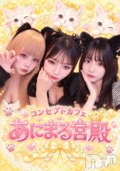 新潟駅前スナック・ガールズバー(コンセプトカフェアニマルキュウデン)のお店速報「10月17日 のお店速報」