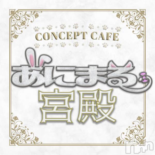 ʥå륺С󥻥ץȥե ˤޤ(󥻥ץȥե˥ޥ륭奦ǥ)  2024ǯ1019̥֥Open2❕20:00❕