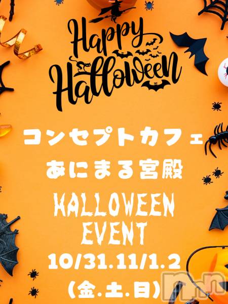 ʥå륺С󥻥ץȥե ˤޤ(󥻥ץȥե˥ޥ륭奦ǥ)  2025ǯ112ֺ̥֥ǽ❣️