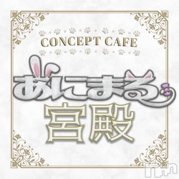 ʥå륺С󥻥ץȥե ˤޤ(󥻥ץȥե˥ޥ륭奦ǥ)  2025ǯ1113ֱ̥֥Ķ❕