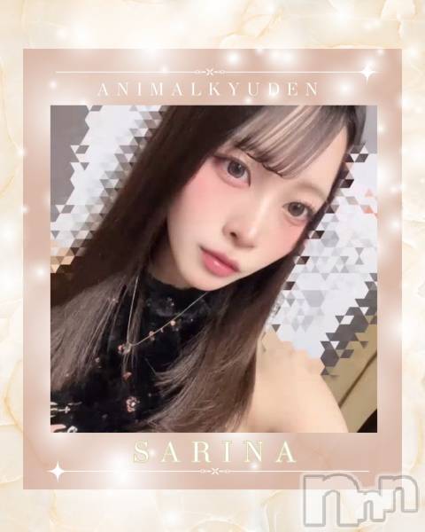 ����������ʥå��������륺�С����󥻥ץȥ��ե� ���ˤޤ����(���󥻥ץȥ��ե����˥ޥ륭�奦�ǥ�) �� 2026ǯ2��6���̥�֥�����20��OPEN��