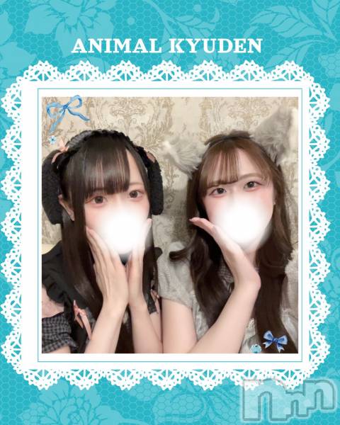 ����������ʥå��������륺�С����󥻥ץȥ��ե� ���ˤޤ����(���󥻥ץȥ��ե����˥ޥ륭�奦�ǥ�) �� 2026ǯ2��7���̥�֥�����2��6�� 20��00ʬ�Τ�Ź®���