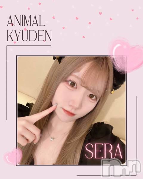 ����������ʥå��������륺�С����󥻥ץȥ��ե� ���ˤޤ����(���󥻥ץȥ��ե����˥ޥ륭�奦�ǥ�) �� 2026ǯ2��17���̥�֥�����20��OPEN��