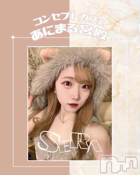 ����������ʥå��������륺�С����󥻥ץȥ��ե� ���ˤޤ����(���󥻥ץȥ��ե����˥ޥ륭�奦�ǥ�) �� 2026ǯ2��23���̥�֥�����20��OPEN��