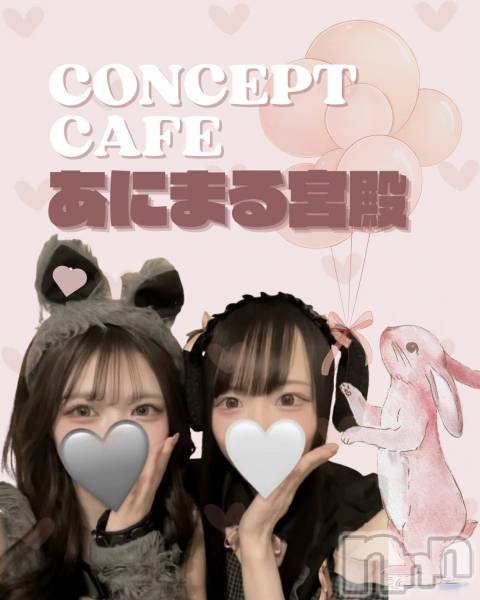 ����������ʥå��������륺�С����󥻥ץȥ��ե� ���ˤޤ����(���󥻥ץȥ��ե����˥ޥ륭�奦�ǥ�) �� 2026ǯ4��3���̥�֥�����20��OPEN��