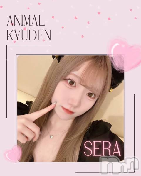 ����������ʥå��������륺�С����󥻥ץȥ��ե� ���ˤޤ����(���󥻥ץȥ��ե����˥ޥ륭�奦�ǥ�) �� 2026ǯ4��7���̥�֥�����20��OPEN��