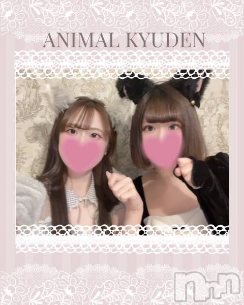 ����������ʥå��������륺�С����󥻥ץȥ��ե� ���ˤޤ����(���󥻥ץȥ��ե����˥ޥ륭�奦�ǥ�) �� 2026ǯ4��11���̥�֥�����20��OPEN��