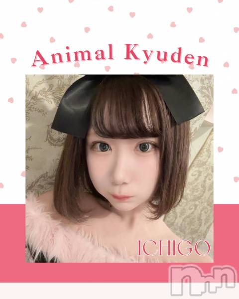 ����������ʥå��������륺�С����󥻥ץȥ��ե� ���ˤޤ����(���󥻥ץȥ��ե����˥ޥ륭�奦�ǥ�) �� 2026ǯ5��4���̥�֥�����💛������20�����OPEN💛��