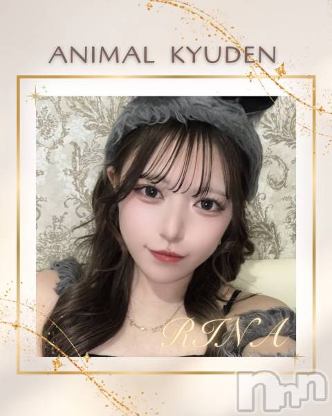 ����������ʥå��������륺�С����󥻥ץȥ��ե� ���ˤޤ����(���󥻥ץȥ��ե����˥ޥ륭�奦�ǥ�) �� 2026ǯ5��10���̥�֥�����20��OPEN��