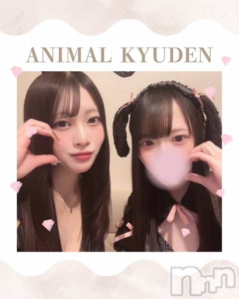 ����������ʥå��������륺�С����󥻥ץȥ��ե� ���ˤޤ����(���󥻥ץȥ��ե����˥ޥ륭�奦�ǥ�) �� 2026ǯ5��23���̥�֥�����20��OPEN��