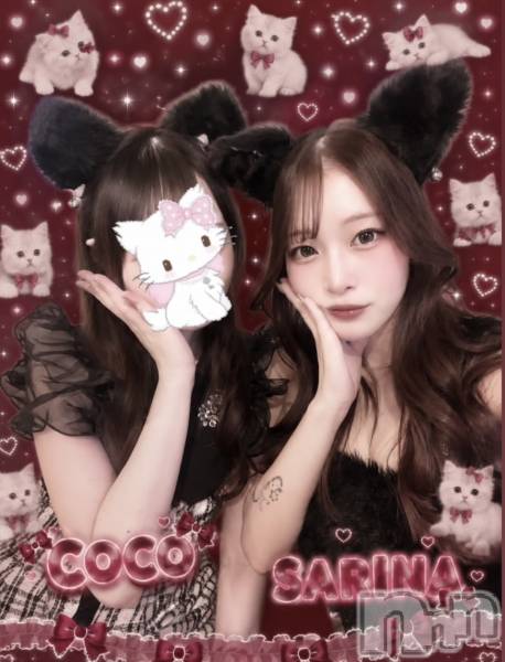 ����������ʥå��������륺�С����󥻥ץȥ��ե� ���ˤޤ����(���󥻥ץȥ��ե����˥ޥ륭�奦�ǥ�) �� 2026ǯ7��18���̥�֥�����‪🐈‍⬛20��OPEN🐈‍⬛��
