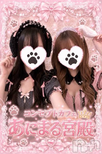 ����������ʥå��������륺�С����󥻥ץȥ��ե� ���ˤޤ����(���󥻥ץȥ��ե����˥ޥ륭�奦�ǥ�) �� 2026ǯ8��4���̥�֥�����🐱������20��OPEN🐱 �����Τ��ˤޤ뤿�������зޤ�💕��