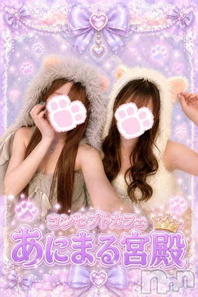 ����������ʥå��������륺�С����󥻥ץȥ��ե� ���ˤޤ����(���󥻥ץȥ��ե����˥ޥ륭�奦�ǥ�) �� 2026ǯ8��12���̥�֥�����✨������20��OPEN✨ ���ο������������🍸��