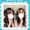 ����������ʥå��������륺�С� ���󥻥ץȥ��ե� ���ˤޤ����(���󥻥ץȥ��ե����˥ޥ륭�奦�ǥ�)��5��13����Ź®���20��OPEN��