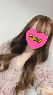 ڹ(21) Ĺ161cmĹ襳ѥ˥󥯥 Ĺѥ˥-Daisy- ǥ (Ĺȯ 㸩)(ʥѥ˥ǥ)ҡ