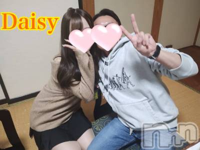 Ĺ襳ѥ˥󥯥Ĺѥ˥-Daisy- ǥ (Ĺȯ 㸩)(ʥѥ˥ǥ) ڹ(23)311̥֥311 0102ʬΥ֥