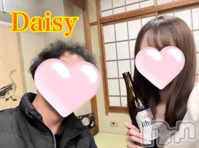 Ĺ襳ѥ˥󥯥Ĺѥ˥-Daisy- ǥ (Ĺȯ 㸩)(ʥѥ˥ǥ) ڹ(23)45̥֥45 0515ʬΥ֥