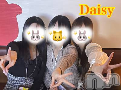 Ĺ襳ѥ˥󥯥Ĺѥ˥-Daisy- ǥ (Ĺȯ 㸩)(ʥѥ˥ǥ) ڹ(23)48̥֥դޤ🥰