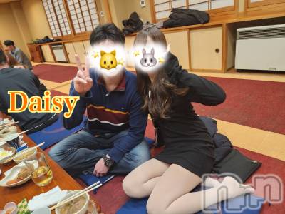 Ĺ襳ѥ˥󥯥Ĺѥ˥-Daisy- ǥ (Ĺȯ 㸩)(ʥѥ˥ǥ) ڹ(23)411̥֥411 2049ʬΥ֥