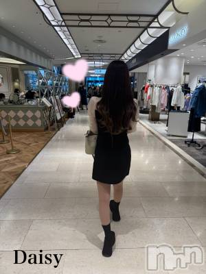 Ĺ襳ѥ˥󥯥Ĺѥ˥-Daisy- ǥ (Ĺȯ 㸩)(ʥѥ˥ǥ) ڹ(23)415ֵ̥֥🧁🫧