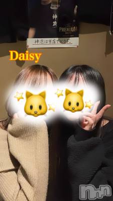 Ĺ襳ѥ˥󥯥Ĺѥ˥-Daisy- ǥ (Ĺȯ 㸩)(ʥѥ˥ǥ) ڹ(23)55̥֥֥顼फʤ🫧‪🎀