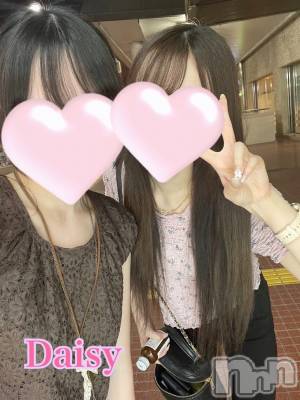 Ĺ襳ѥ˥󥯥Ĺѥ˥-Daisy- ǥ (Ĺȯ 㸩)(ʥѥ˥ǥ) ڹ(23)59̥֥֤ɤäɡ