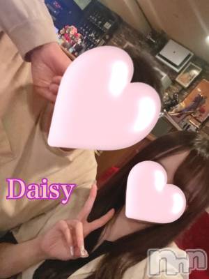 Ĺ襳ѥ˥󥯥Ĺѥ˥-Daisy- ǥ (Ĺȯ 㸩)(ʥѥ˥ǥ) ڹ(23)511ֿ̥֥̲🐑💤