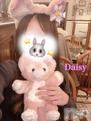 Ĺ襳ѥ˥󥯥Ĺѥ˥-Daisy- ǥ (Ĺȯ 㸩)(ʥѥ˥ǥ) ڹ(23)517̥֥֤Ϥ褦🏖☀️