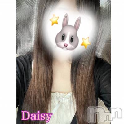 Ĺ襳ѥ˥󥯥Ĺѥ˥-Daisy- ǥ (Ĺȯ 㸩)(ʥѥ˥ǥ) ڹ(23)518̥֥֡ʎ؎ˡ