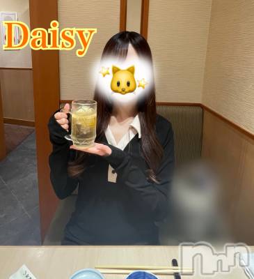 Ĺ襳ѥ˥󥯥Ĺѥ˥-Daisy- ǥ (Ĺȯ 㸩)(ʥѥ˥ǥ) ڹ(23)523̥֥֥🍺✨