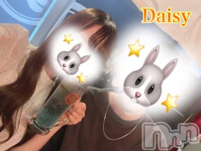 Ĺ襳ѥ˥󥯥Ĺѥ˥-Daisy- ǥ (Ĺȯ 㸩)(ʥѥ˥ǥ) ڹ(23)526̥֥526 2158ʬΥ֥