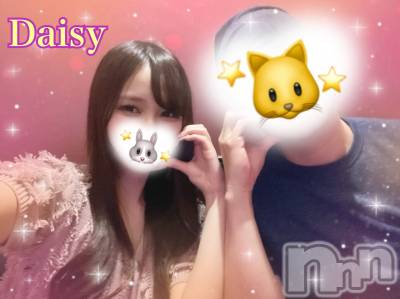 Ĺ襳ѥ˥󥯥Ĺѥ˥-Daisy- ǥ (Ĺȯ 㸩)(ʥѥ˥ǥ) ڹ(23)529̥֥🎯💕