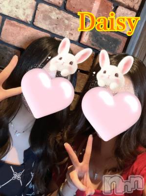 Ĺ襳ѥ˥󥯥Ĺѥ˥-Daisy- ǥ (Ĺȯ 㸩)(ʥѥ˥ǥ) ڹ(23)619ֺ̥֥ǶǺ🤯