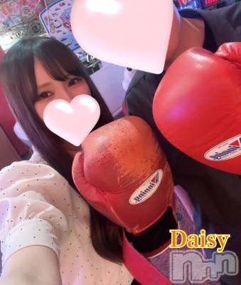 Ĺ襳ѥ˥󥯥Ĺѥ˥-Daisy- ǥ (Ĺȯ 㸩)(ʥѥ˥ǥ) ڹ(23)714̥֥ʤʤͷᐡㅎ.ㅎᐡ🎖️ᯤ