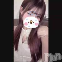 2026�顼����🐴