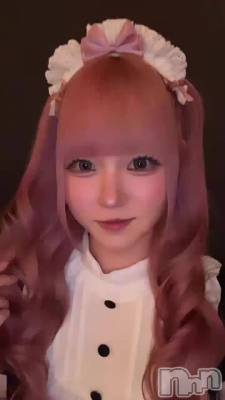 🎀‎🤍