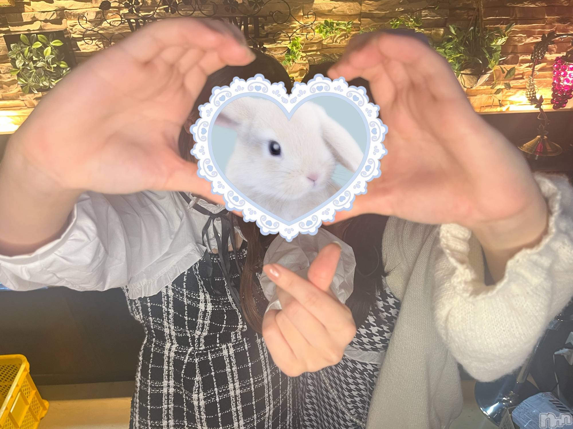 Х顦֥֥֥饦󥸤ޤʤߤ(֥֥饦󥸥ޥʥߥ) 2025ǯ24̥֥֥ʥåж‪ ·͜·